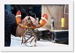 Lobster_Festival (6) * Wenn der gewußt hätte, was auf ihn zu kam (Petra wurde es ganz flau) * 2896 x 1936 * (1.58MB)